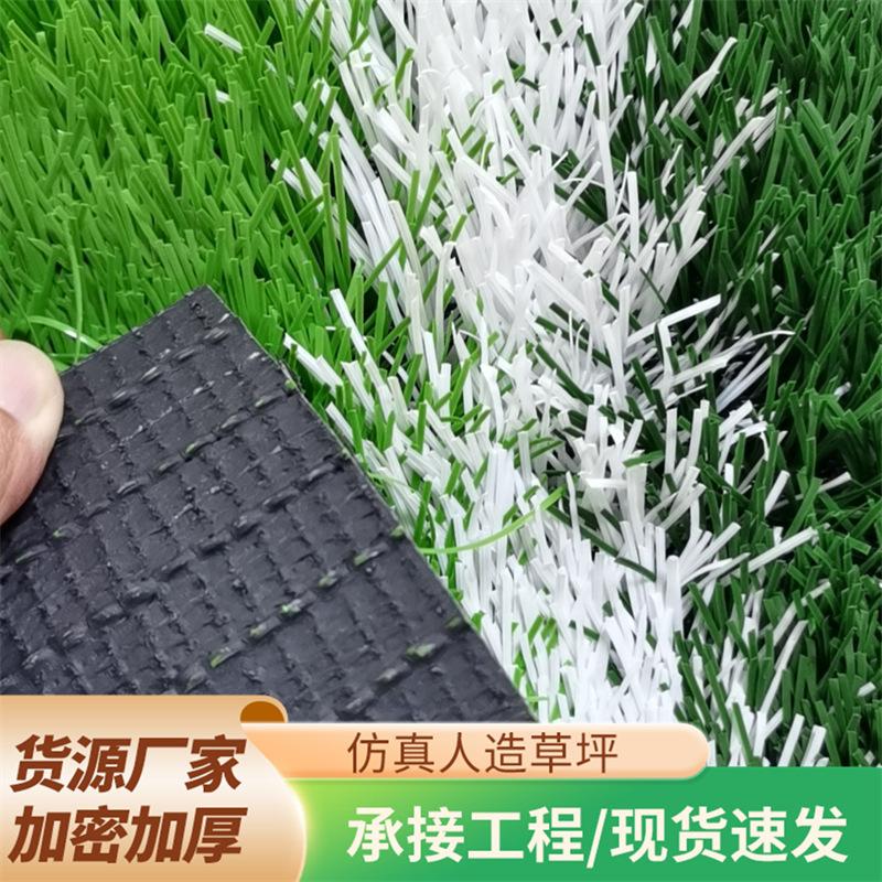 f7359187-dc39-4bf1-ad4c-52e51c