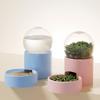 Tigela de Alimentação Automática para Coelhos, Porquinhos-da-Índia, Chinchilas e Hamsters para Evitar Virar e Arranhar