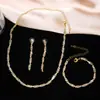 Nuevo Estilo Ins Transfronterizo Lujo Accesible Cadena de Garra de Cristal Super Brillante Collar Pulsera de Celebración de Banquete para Mujer Set Completo de Joyería de Diamantes