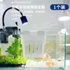 Suporte para fixação de plantas hidropônicas de aquário, cesto de plantio, montado na parede, copo para plantio de plantas aquáticas domésticas, decoração paisagística de aquário, vaso de flores