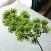Galhos de pinho com frutos galhos de pinho falsos paisagem de pinho agulhas de pinho pinho negro galhos de cipreste pinho de boas-vindas árvore de Natal cavalinha grande pinho