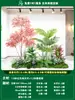 Paisagismo de Planta Artificial Varanda Arranjo de Paisagem Escada Interna Sob Árvore de Flores Artificiais Decoração Biomórfica Planta Verde Paisagismo Combinação