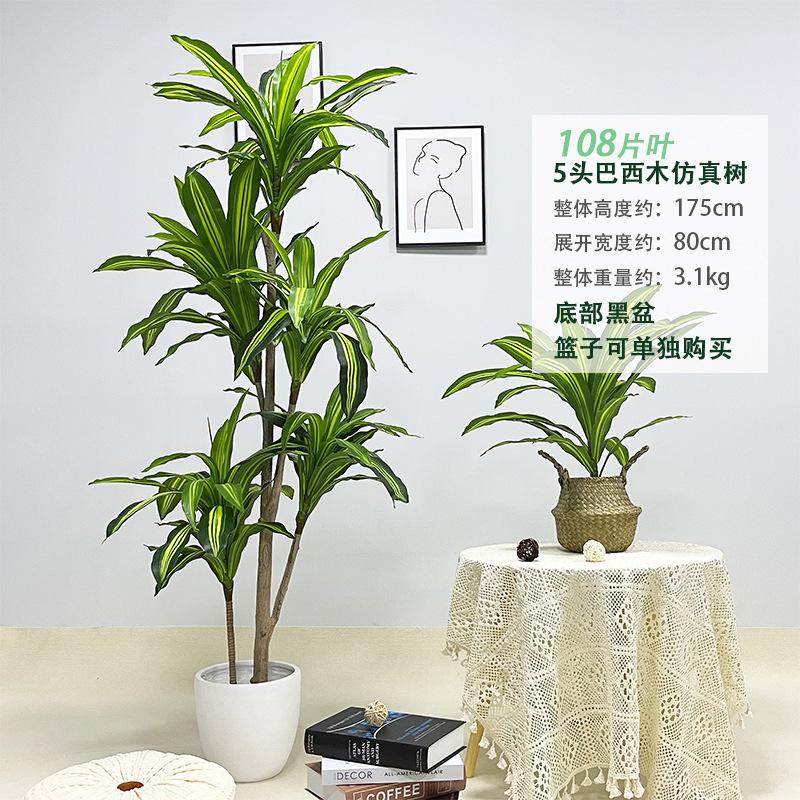 8-108叶仿真巴西木175cm.jpg