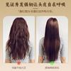 Chunfu Polygonum Multiflorum Jengibre Champú Planta Herbal Suave Nutritivo Anticaída Nutritivo Cabello Refrescante Control de Grasa Anti-Picazón Loción