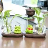 Pesca de rã planta verde vaso hidropônico vidro transparente flores cultivadas em água arranjo de flores vaso de flores decoração de mesa