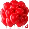 Conjunto de Balões Espessos Transfronteiriços de 10 Polegadas com 20 Peças para Festas de Aniversário, Atividades de Jardim de Infância, Decoração de Cenário, Atacado