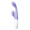 Palito de Feijão Laille Dian (Choque Duplo) Pó de Cerejeira/) roxo claro LL-2405-B Produtos para Adultos Produtos Sexuais Produtos Sexuais Produtos Sexuais