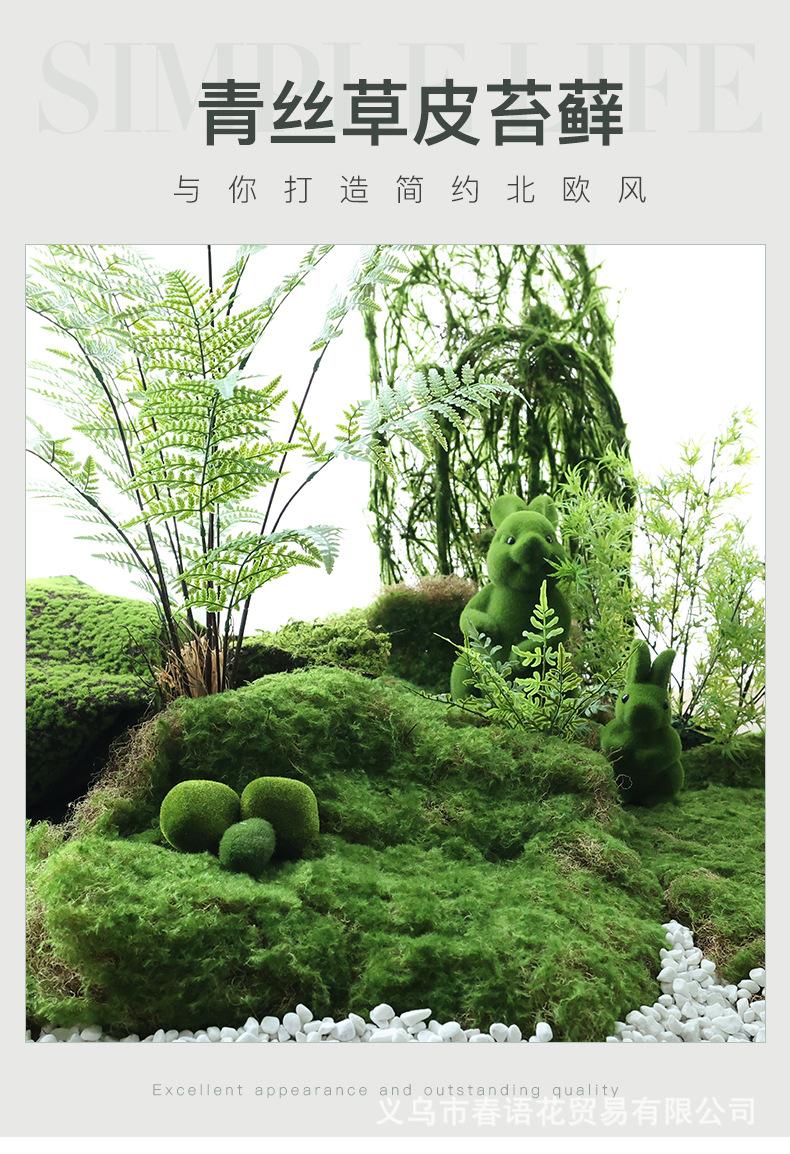 青丝草皮苔藓_01.jpg