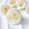 Flores de Tongcao naturales importadas, difusor de aromaterapia sin llama flores secas, flores hechas a mano, varios tipos de materias primas de flor de Tongcao al por mayor