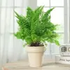 Helecho de Encaje en Maceta Helecho Riñón Malvavisco Helecho Marissa Hoja de Pluma Decoración Divertida Colgante Planta Popular Fácil de Criar