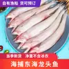Peixe Cabeça-de-Dragão Congelado Fresco da Estação, Peixe Tofu, Peixe Nove-Barrigas, Enguia de Água Ingredientes para Churrasco Atacado com Frete Grátis Sf Express
