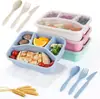 Caja de Almuerzo con Rejilla de Paja de Trigo Nórdica Set de Vajilla Portátil para Exteriores Estudiante Oficina Comedor Estudiantil Plato de Cena