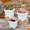 Vaso de Flor Gordinho Jingtian Vaso Quadrado Pequeno Vaso Quadrado Branco Gordinho Vaso Quadrado Branco Espesso de Plástico