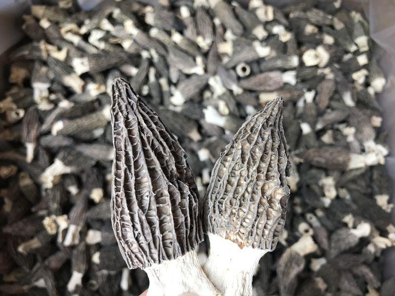 微信图片_20220412214814_副本