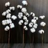 Flores Secas de Algodón Inmortalizado Hechas a Mano, Manojos de Algodón Simulados de Cabeza Única, Decoración para Sala de Estar, Arreglos Florales, Accesorios para Disparos de Escenas