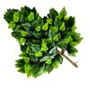 Galhos artificiais folha de bordo vermelho galho de bordo vermelho folhas falsas Decoração de engenharia folhas falsas folhas verdes flor de seda flor de plástico planta verde