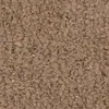 Tela de chenilla sintética de punto por urdimbre de color sólido para decoración de sofás, tela para cojines, tela para almohadones, tela de terciopelo cortado, tela suave para tapicería, tela de felpa larga