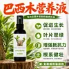 Solución nutritiva de palo brasilero hidropónico almendra madera de la suerte enraizamiento brotación germinación Fertilizante especial de palo brasilero