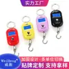 Suministro Directo de Fábrica Weiheng Mini Báscula Express Conveniente Báscula de Gancho para Bolso 25 kg Báscula Digital