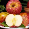 Manzanas Feas Auténticas de Zhaotong, Yunnan, con Corazón de Azúcar, Recién Recolectadas en Temporada, Crujientes y Dulces, Manzana Fresca Red Fuji, Caja Completa con Envío Gratis