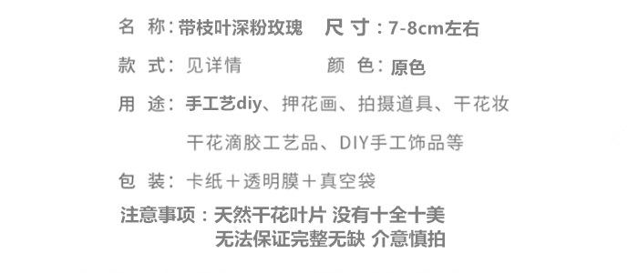 带枝叶深粉玫瑰.png