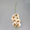 Flor Artificial Phalaenopsis Souvenir Película de Impresión 3D Alta Calidad Phalaenopsis Rizado Estilo Decorativo Exquisito Boda