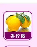 日用香精系列明细_15.jpg