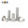 Tornillo de Carrocería de Acero Inoxidable 304 Cabeza de Paraguas Tornillo Especial para Puente Cabeza Semiredonda Cuello Cuadrado Perno M3M4M5M8M12