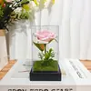 Cúpula de Vidro com Flor Eterna Transfronteiriça Rosa Luz Led 520 Presente de Dia dos Namorados para Namorada Luz Noturna Atmosférica Decorativa