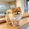 Ropa de Verano para Mascotas, Lindas Faldas Estilo Princesa, Vestidos de Lunares, Ropa para Perros y Gatos, Ropa al por Mayor de Fábrica