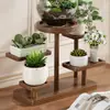 Soporte para plantas suculentas para sala de estar interior, organizador de plantas en maceta de varias capas, bandeja para macetas de flores para el hogar, estante de almacenamiento para plantas verdes de balcón