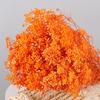 Atacado Gipsofila Flor Imortal Gipsofila Buquê de Flor Seca Material DIY Presente Dia das Mães Flor Presente Barraca de Rua