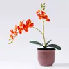 Decoración de flores artificiales Phalaenopsis al por mayor para el hogar y la sala de estar, adornos de flores falsas, flores en maceta, regalos exquisitos, flores artificiales