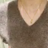 Popular Collar de Concha de Zirconia Dorada de Xiaohongshu para Mujer, Cadena para Clavícula Versátil de Lujo Ligero de Nicho Tendencia