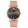 Reloj de Mujer Estilo Coreano Correa Simple Moda Revista Tendencia Temperamento Estilo Ins Cuarzo Estudiante Reloj de Mujer Esfera