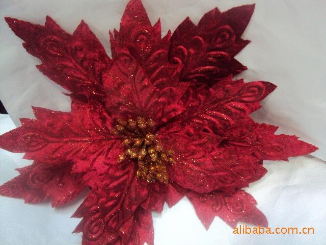 DSC00200
