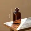 Jarrón de Vidrio Marrón Vintage Estilo Ins Nórdico Transparente Marrón Arreglo Floral Hidropónico Recipiente para Flores Frescas Decoración