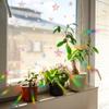 LSK102 puertas y ventanas de cristal de estrella láser pegatinas de pared DIY gratuitas fondo de hogar embellecedor pegatinas para ventanas autoadhesivas