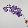 Novo produto transfronteiriço: orquídea Phalaenopsis artificial, Phalaenopsis de haste única, arranjo floral para casa, decoração de hall de hotel e salão de casamentos
