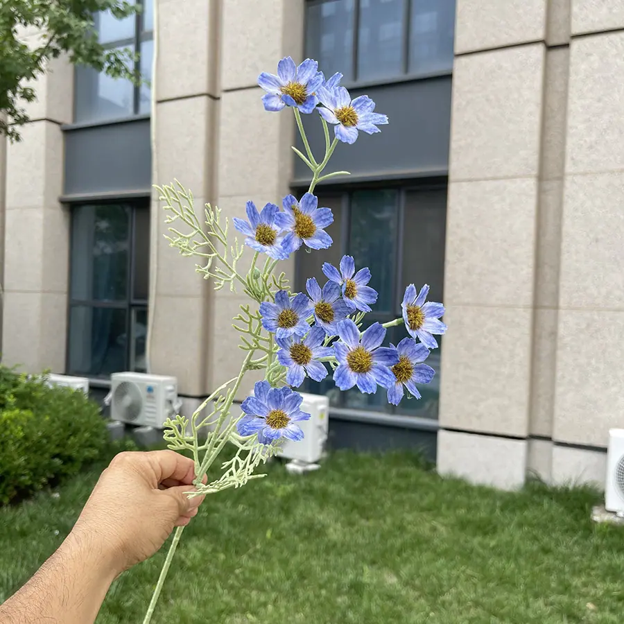 2叉植绒小野菊-xjmlkx 7#深蓝.JPG