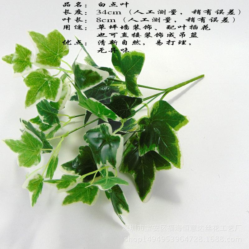 DSC00529 副本