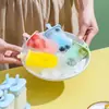 Paleta Helada Casera Helado Hielo Congelado Cubo de Hielo Sorbete Helado Cubo de Hielo Casero Molde para Helado