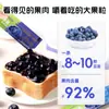 Mermelada Premium de Arándanos para Hornear y Lista para Comer con Pan Tostado, Mermelada de Arándanos Empaquetada Individualmente