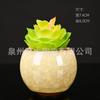 Especial transfronterizo para maceta de flores con grietas de hielo, planta verde, maceta de cerámica, maceta de cerámica con grietas de hielo, más suculentas, planta verde, maceta pequeña de color, ventas directas de fábrica