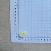 Nuevos Accesorios de Resina de Pétalos y Estambres de Flores Transparentes Dulces Venta al por Mayor Llavero de Pegamento de Crema DIY Funda de Teléfono Crocs