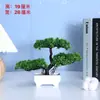 Hermosas Plantas Pequeñas Decorativas en Maceta, Flores de Plástico, Flores Artificiales, Juegos de Flores Artificiales, Decoración de Bonsái, Arreglo Floral para Sala de Estar en Casa Plantas en Maceta