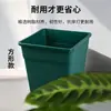 Maceta para Grosella Verde Resistente al Sol Plástico Espesado Resina Multiespecificación Maceta con Control de Raíces Transpirable Rábano Verde Maceta Montaña Verde Fabricante Venta al por Mayor