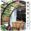 Cesto de fibra de coco para pendurar vaso de flores vaso para planta-aranha pendurada vaso criativo para pendurar gancho especial vaso para pendurar jiboia suculenta vaso para pendurar na parede