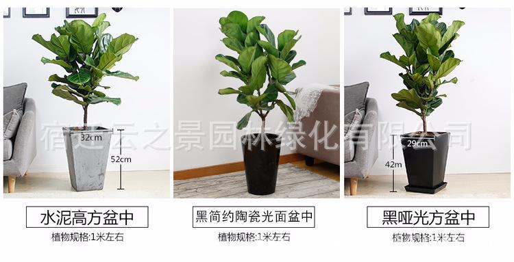 鐞村彾姒曡缁?4