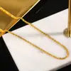 Collar Brillante Bañado en Plata 925 para Mujer, Cadena de Gypsophila, Collar Bañado en Oro, Cadena para Clavícula, Lujo Accesible y Joyería de Plata de Alta Gama